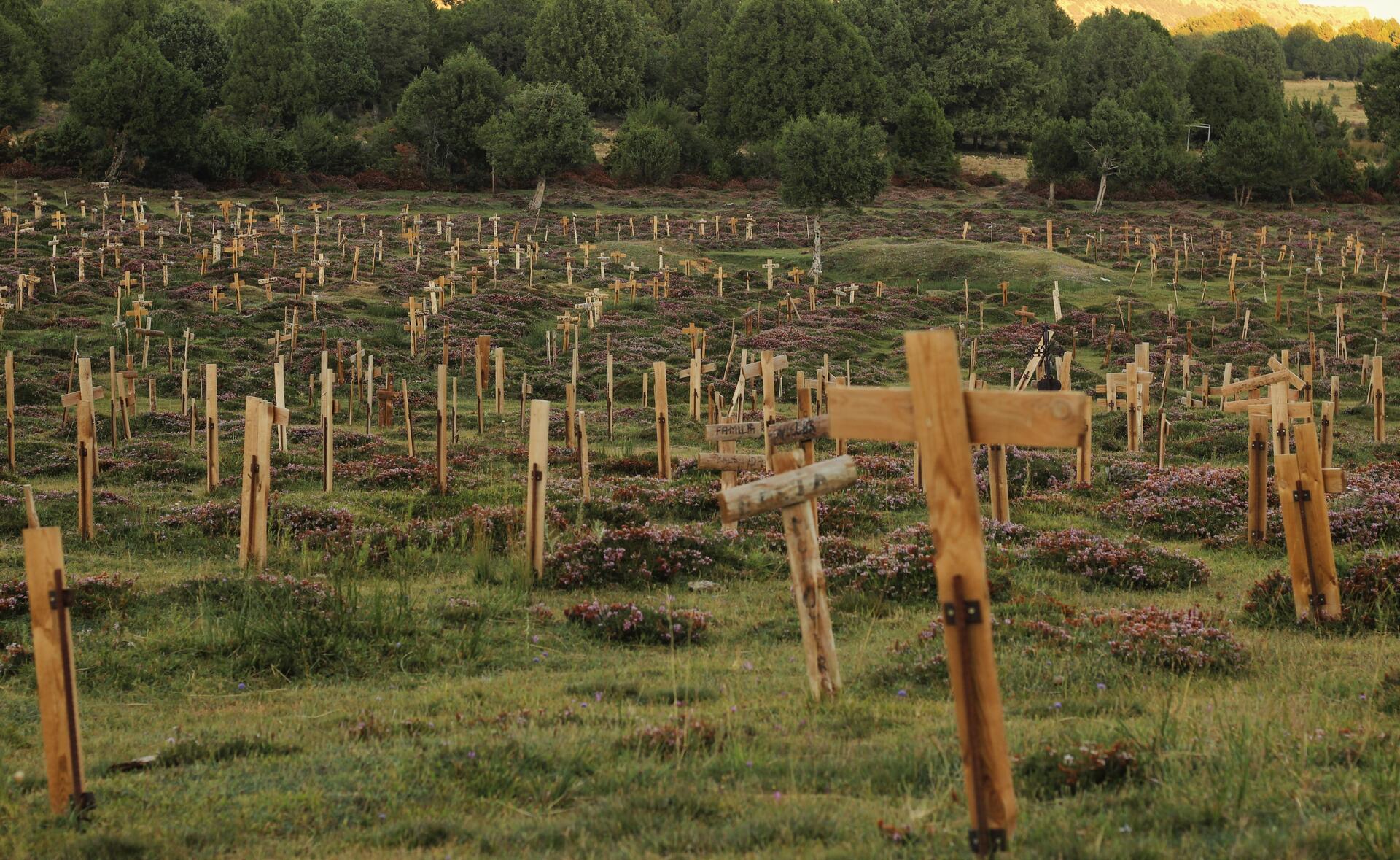 Un cementerio con mucha vida